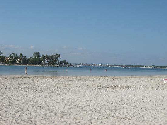 Comes Alcudia  Bagian luar foto